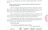 Báo cáo tình hình hoạt đồng kinh doanh năm 2017
